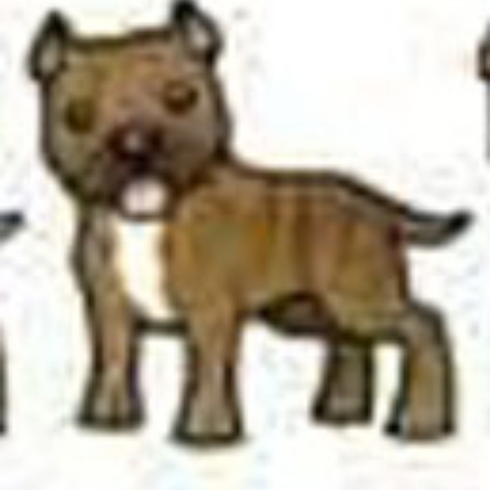 Meet your Posher, Eb